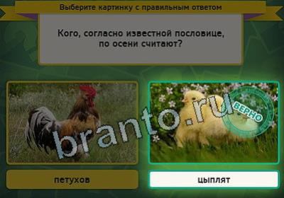 Одноклассники Выбирайка ответы Уровень 2468