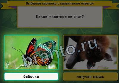 Игра Выбирайка подсказки Уровень 2478