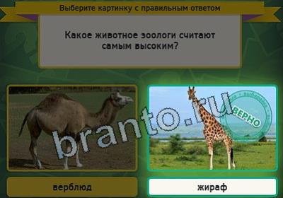 решебник на игру Выбирайка Уровень 2501