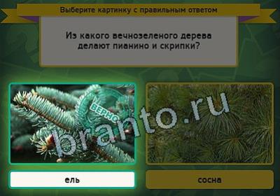 Выбирайка игра ответы Уровень 2503