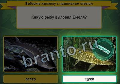 Игра Выбирайка подсказки Уровень 2508