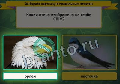 игра Выбирайка ответ на Уровень 2530