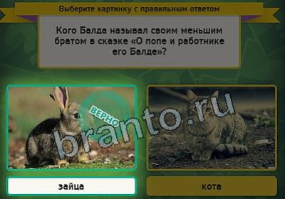 игра Выбирайка помощь Уровень 2539