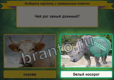 Выбирайка игра ответы Уровень 2543