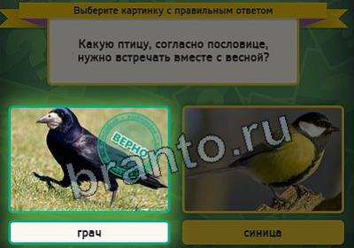 Решения на игру Выбирайка Уровень 2553