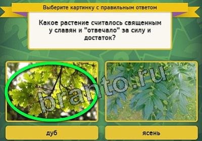 Одноклассники Выбирайка ответы Уровень 2558