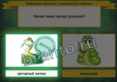 Решения на игру Выбирайка Уровень 2643