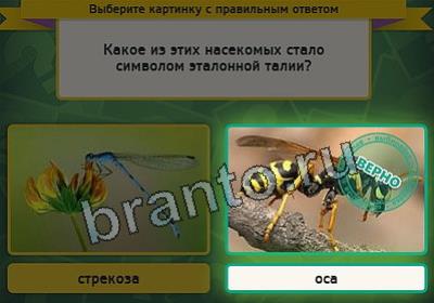Выбирайка игра подсказки Уровень 2654