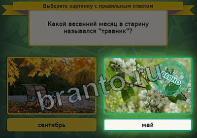 Выбирайка ответы в картинках Уровень 2656