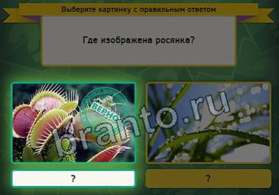 Выбирайка решения Уровень 2662