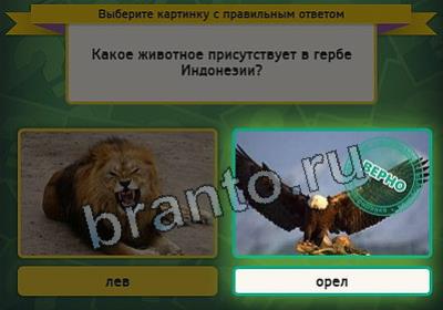 Выбирайка игра помощь Уровень 2665