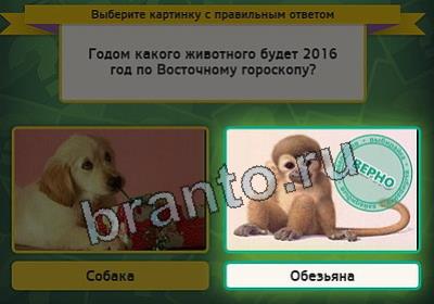 игра Выбирайка ответ на Уровень 2670
