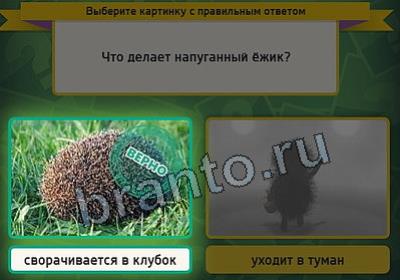 Одноклассники Выбирайка ответы Уровень 2798