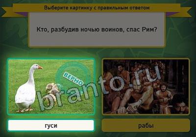 Выбирайка игра ответы Уровень 2803