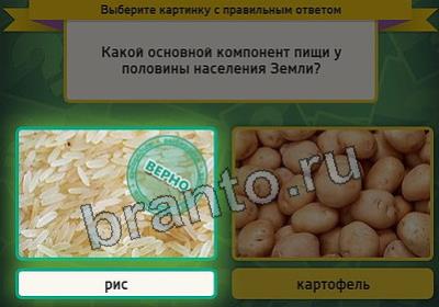 Выбирайка игра ответы Уровень 2813