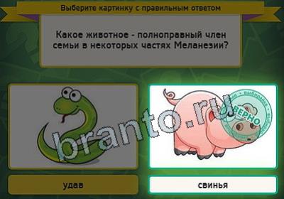 Подсказки на игру Выбирайка Уровень 2972