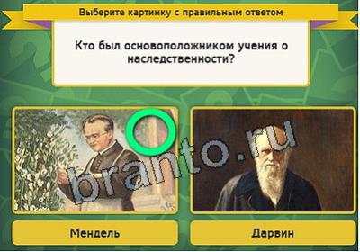 Выбирайка игра ответы Уровень 2983