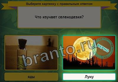 решебник на игру Выбирайка Уровень 2991