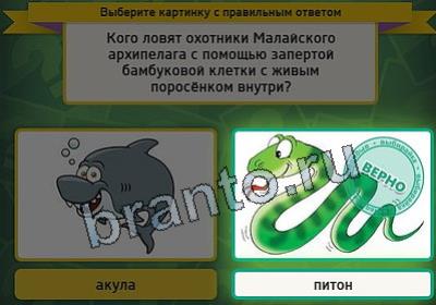 Выбирайка игра ответы в одноклассниках Уровень 2827