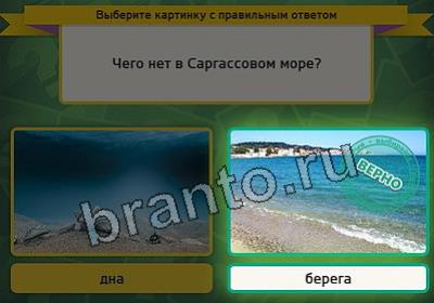 Выбирайка игра ответы Уровень 2833