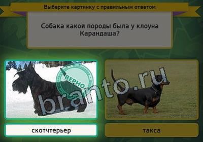 Игра Выбирайка подсказки Уровень 2848