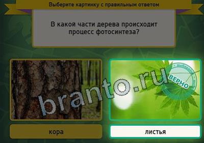 игра Выбирайка ответ на Уровень 2850