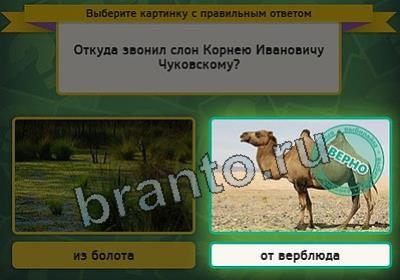 Выбирайка решения Уровень 2922