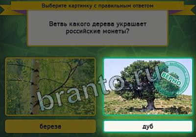 игра Выбирайка помощь Уровень 2939