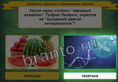 Помощь на игру ВК Выбирайка Уровень 2944