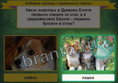 ответы на игру в одноклассниках Выбирайка Уровень 2946