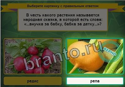 Выбирайка игра ответы в одноклассниках Уровень 2947