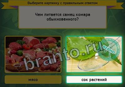 Выбирайка игра помощь Уровень 2955