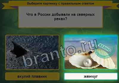 Игра Выбирайка ответы Уровень 2957