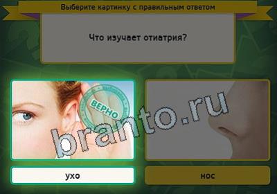 Игра Выбирайка ответы Уровень 2967