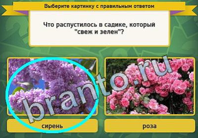 Выбирайка игра ответы Уровень 193