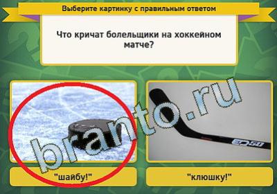 Выбирайка игра помощь Уровень 205