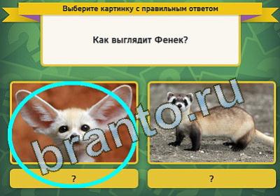 игра Выбирайка ответ на Уровень 220