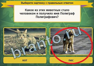 Выбирайка решения Уровень 222