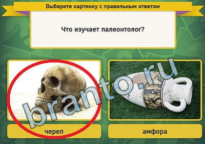 Выбирайка игра подсказки Уровень 224