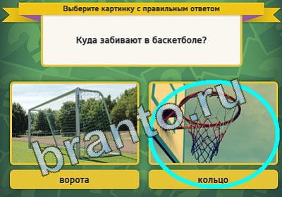 Игра Выбирайка подсказки Уровень 228