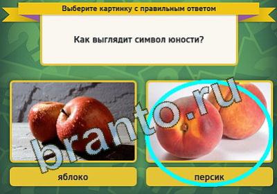 Выбирайка игра подсказки Уровень 234