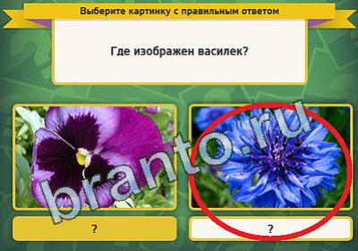 Выбирайка ответы в картинках Уровень 236