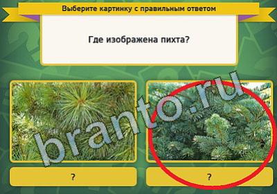 Что согласно примете предвещало девушке хлебное зерно выметенное из под стола под новый год