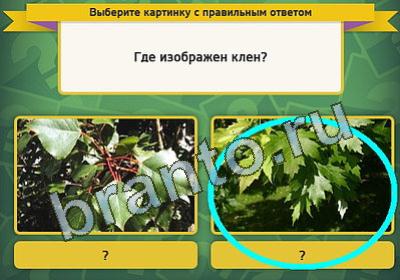 игра Выбирайка ответ на Уровень 300