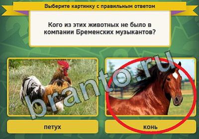 игра Выбирайка ответ на Уровень 340