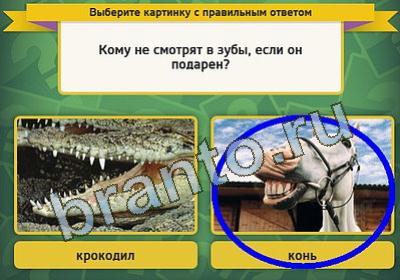 Выбирайка игра ответы Уровень 343