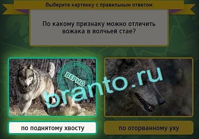 ответы на игру в одноклассниках Выбирайка Уровень 3006