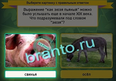 решебник на игру Выбирайка Уровень 3021