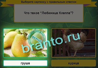 решебник на игру Выбирайка Уровень 3041