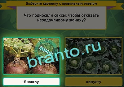 игра Выбирайка ответ на Уровень 3050